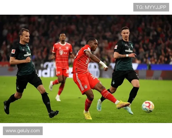 云达不来梅俱乐部发展历程与球队文化的深度解析