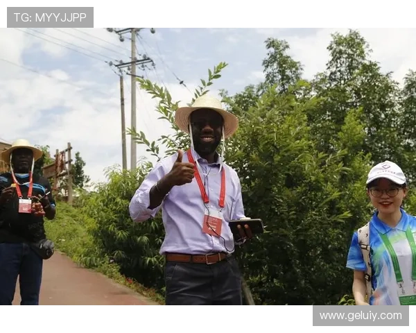 南特足球俱乐部历史沿革与未来发展潜力探讨 南特足球俱乐部历史沿革与未来发展潜力探讨