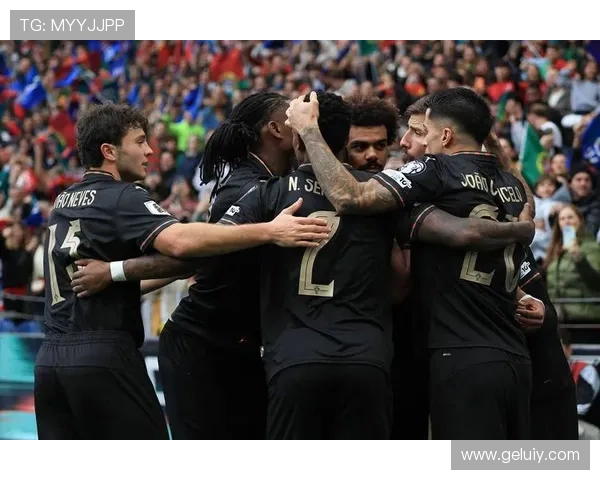 葡萄牙队世界杯预选赛完整赛程及关键战役分析 葡萄牙队世界杯预选赛完整赛程及关键战役分析